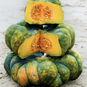 Stack of green and yellow pumpkins with orange seeds inside.